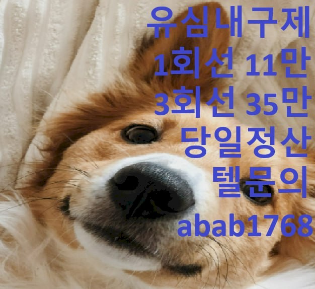 gallery_3654843734_beVU6Htk_50d532.jpg